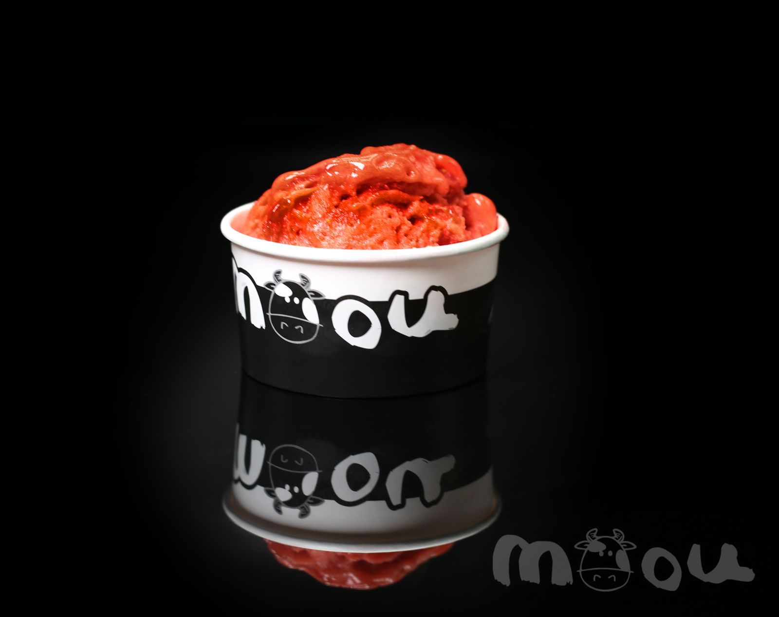 Sorbetto della casa